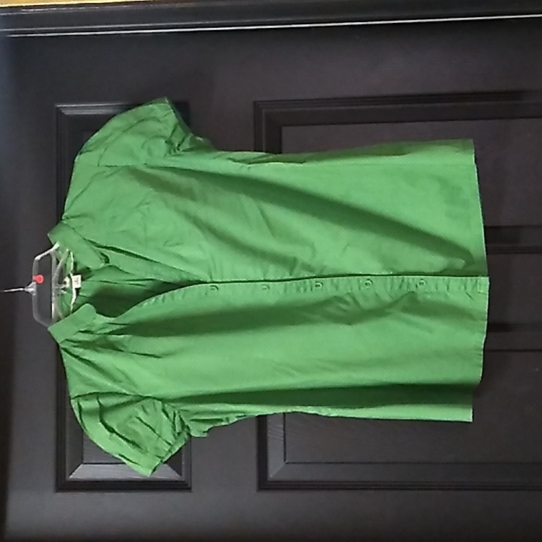 Banana Republic Green Top